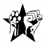 hand undpfote